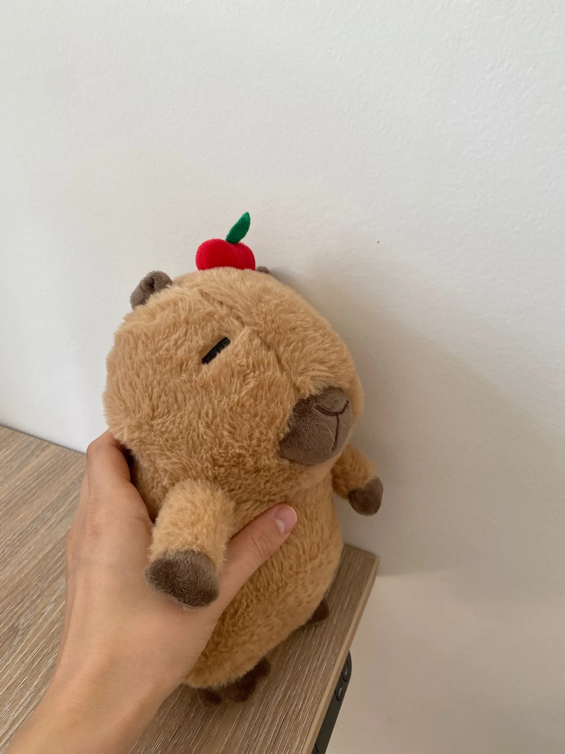 Kõik, mis on seotud Capybaraga 