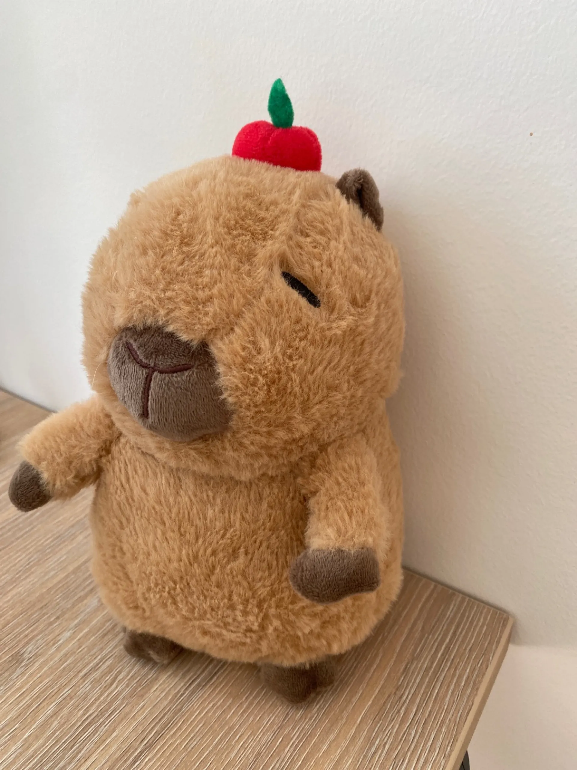 Kõik, mis on seotud Capybaraga 