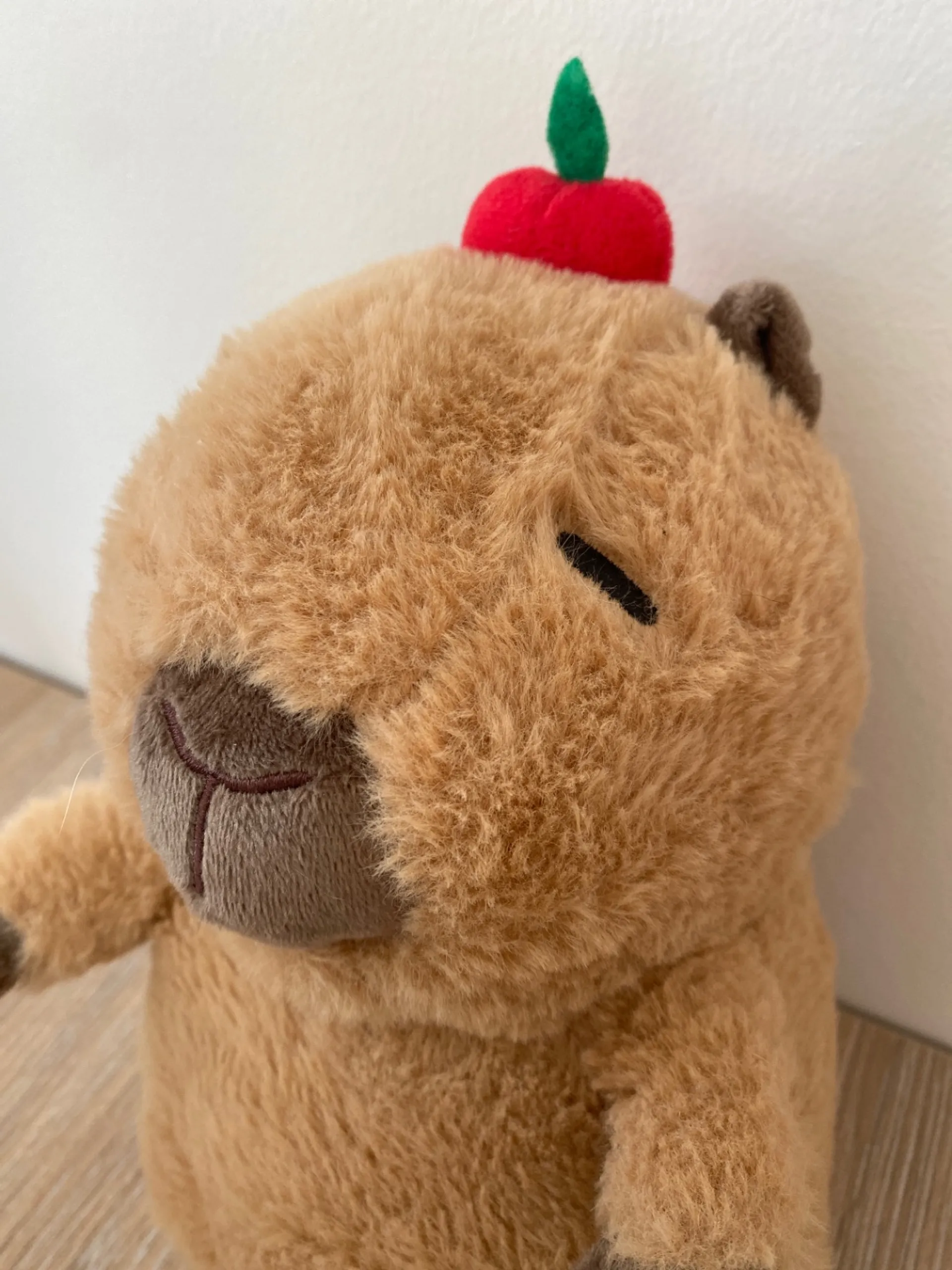 Kõik, mis on seotud Capybaraga 